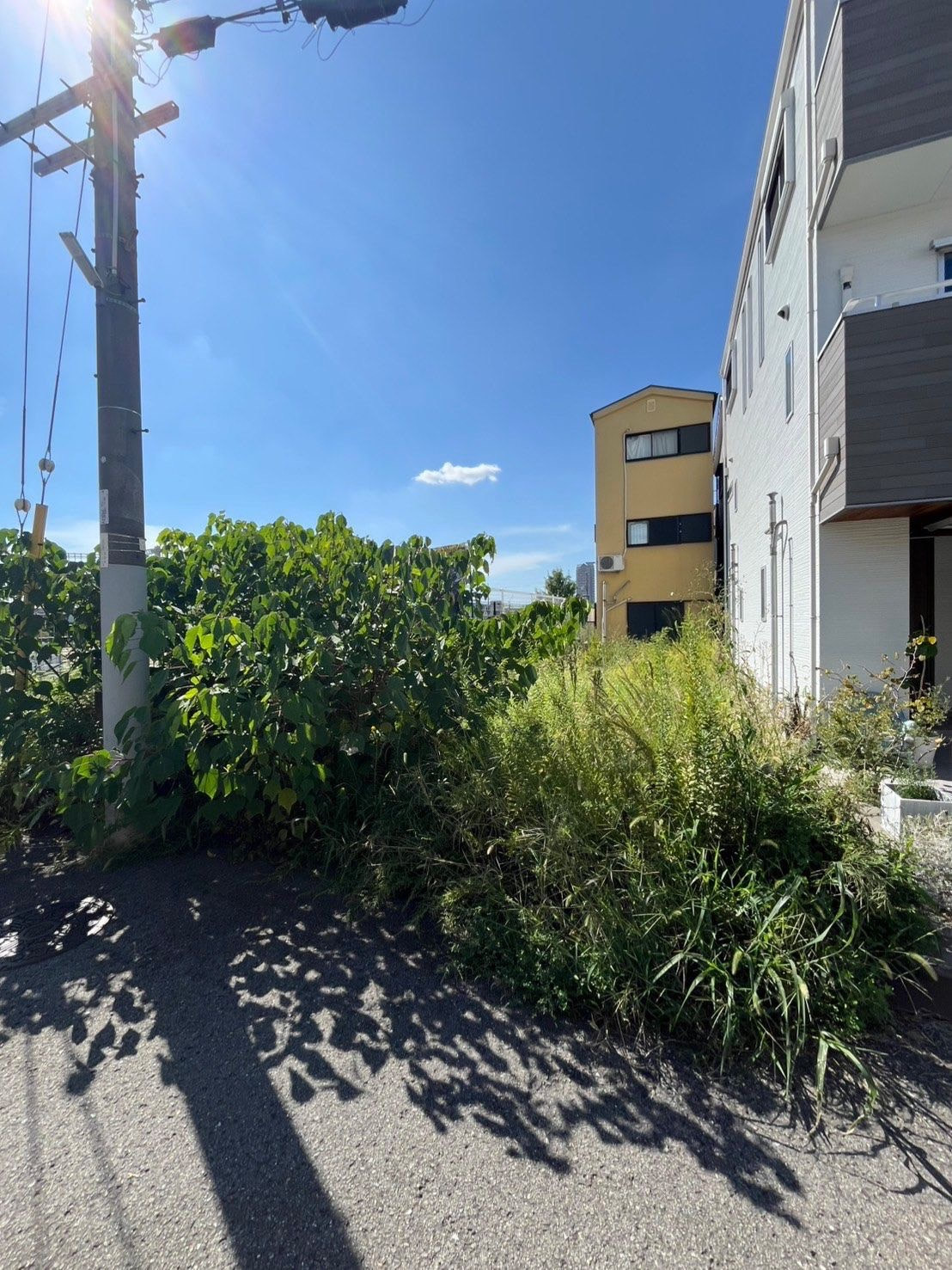 100㎡の雑草・低木をまとめて整地 Before
